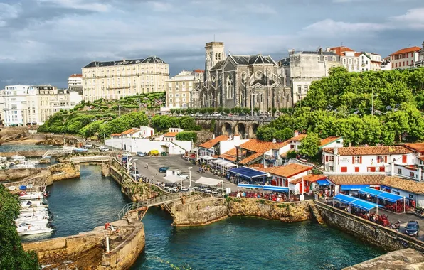 Water, trees, bridge, the city, France, building
