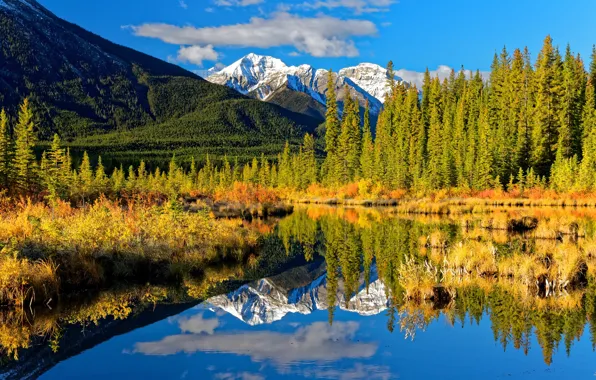 Picture autumn, forest, mountains, lake, reflection, Canada, Albert, Banff National Park