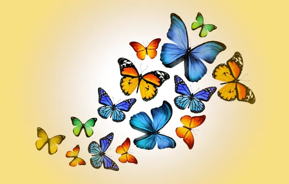 Butterfly, colorful, yellow, butterflies, design by Marika