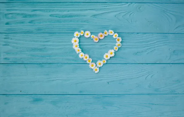 Picture background, tree, Board, chamomile, love, vintage, heart, wood