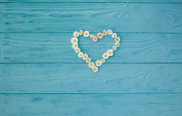 Background, tree, Board, chamomile, love, vintage, heart, wood