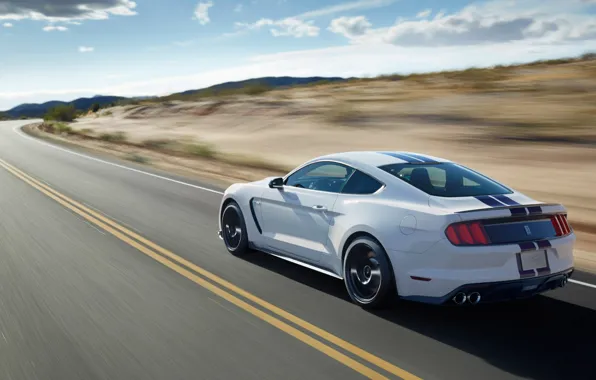 Road, machine, auto, Mustang, Ford, Car, 2015