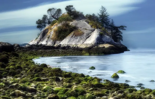 Picture sea, nature, shore