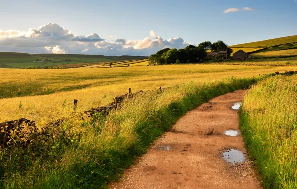 Road, the sky, grass, clouds, nature, the wind, field, England