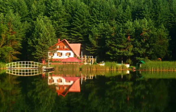 Picture forest, summer, lake, house, Nature, summer, house, forest
