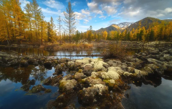 Picture autumn, water, landscape, mountains, nature, vegetation, lava, taiga