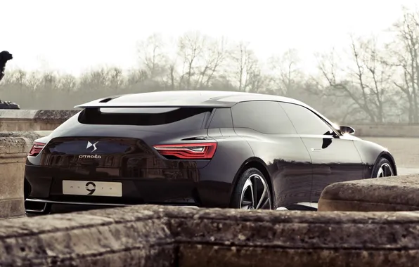 Concept, the sky, trees, Citroën, the concept, rear view, Citroen, number 9