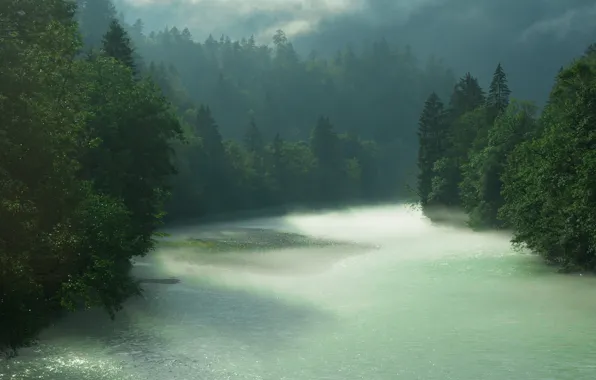 Picture forest, river, rain, Bayern, Berchtesgaden