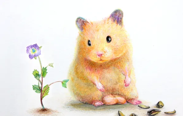 Flower, hamster, shell