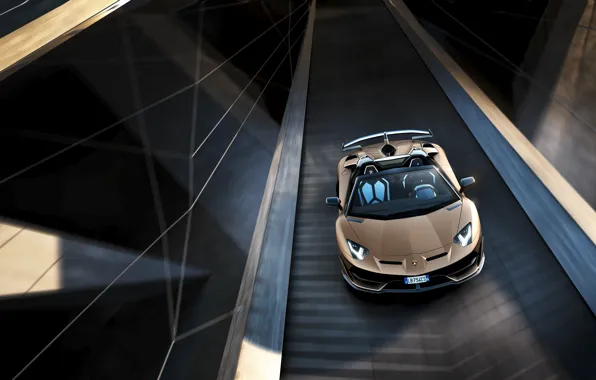 Picture machine, movement, Lamborghini, sports car, the view from the top, roadster, Aventador, SVJ