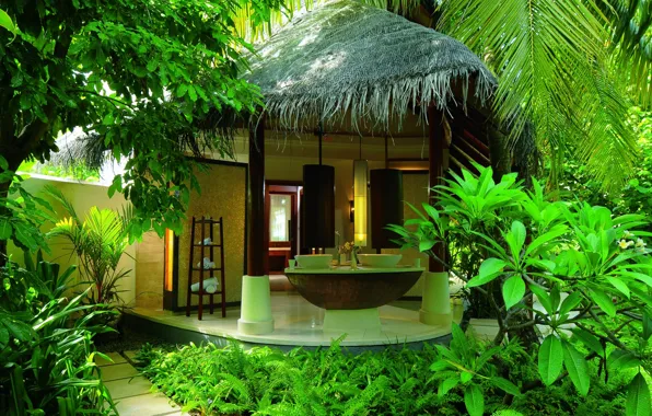 Picture summer, palm trees, stay, jungle, the hotel, Bungalow, Spa