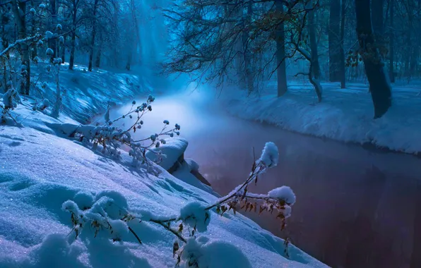 Winter, forest, snow, trees, river, stream