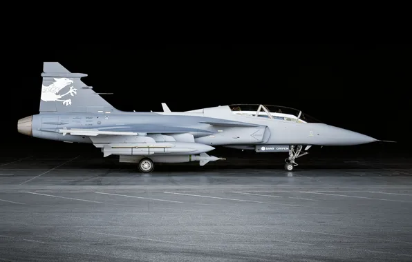 Picture fighter, generation, multipurpose, fourth, SAAB Avionics, Swedish, Can JAS 39 Gripen, Saab JAS 39 "Gripen"
