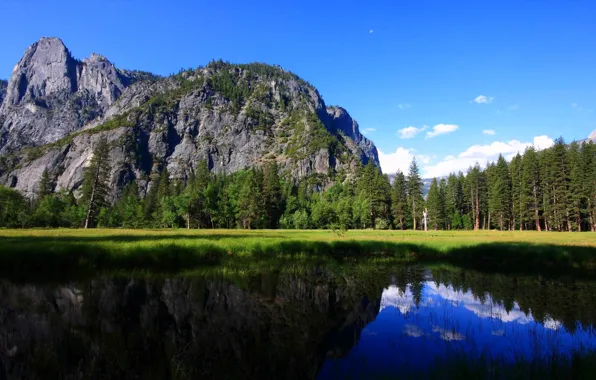 Forest, trees, mountains, lake, Yosemite National Park