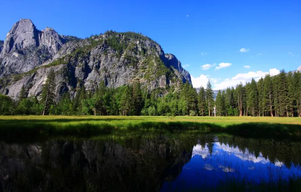 Picture forest, trees, mountains, lake, Yosemite National Park