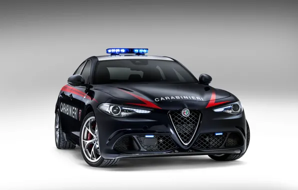 Alfa Romeo, Alfa Romeo, Giulia, Julia