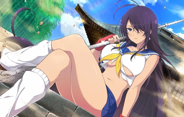 Girl, sexy, cleavage, long hair, boobs, anime, beautiful, purple eyes