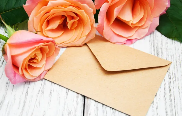 Roses, bouquet, the envelope, Olena Rudo