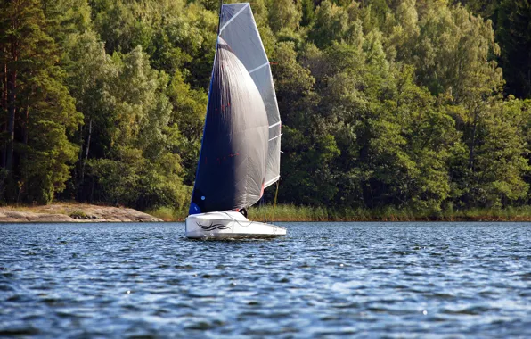 Lake, shore, sails, ligth, stable, Liteboat, stable, light rowing boat