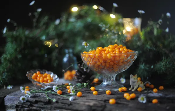 Picture cat, light, berries, blur, still life, placer, needles, figures