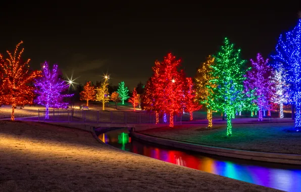 Picture trees, night, lights, Park, river, stream, garland
