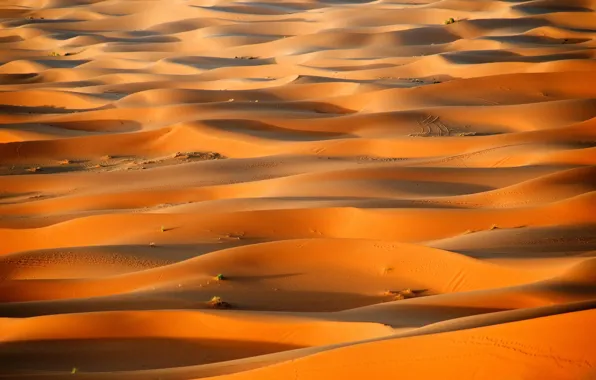 Sand, desert, barkhan