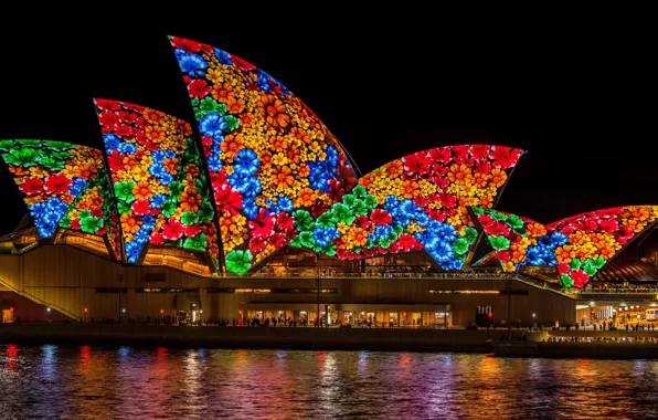 Sea, color, water, flowers, night, blue, red, the city