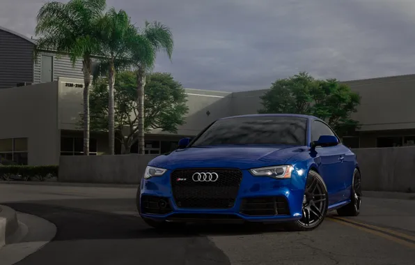 Picture Audi, House, Blue, RS5