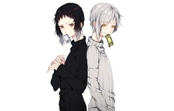 Picture guy, Bungou Stray Dogs, Atsushi, Stray Dogs: A Literary Genius, Akutagawa Ryunoske