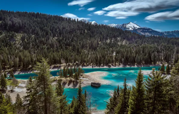 Forest, the sky, clouds, trees, mountains, lake, blue, hills