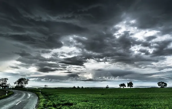 Picture road, field, the sky