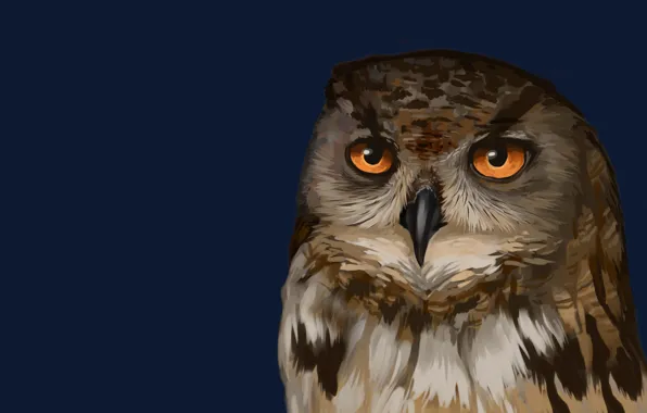 The dark background, owl, bird, owl