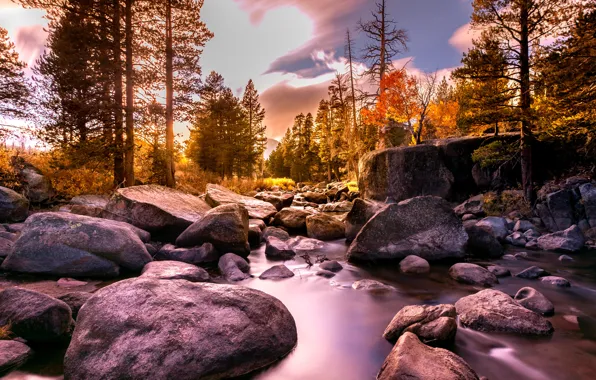Autumn, trees, landscape, nature, river, stones, CA, USA