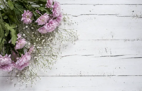 Flowers, background, pink, chrysanthemum, wood, pink, flowers, violet