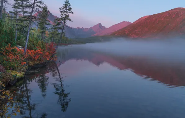 Autumn, landscape, mountains, nature, fog, lake, morning, forest