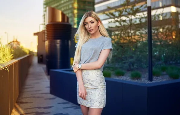Picture look, the city, pose, background, model, building, skirt, portrait