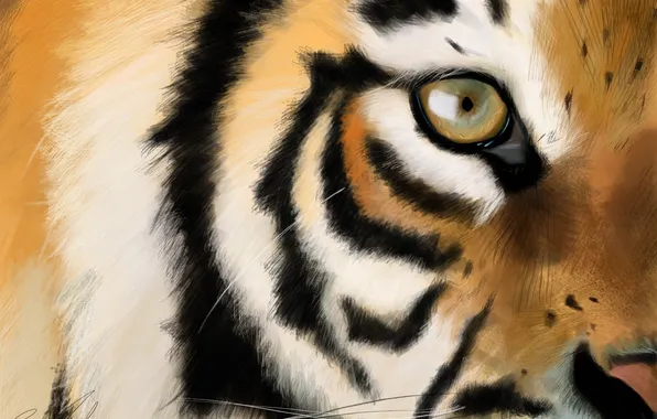 Look, tiger, art