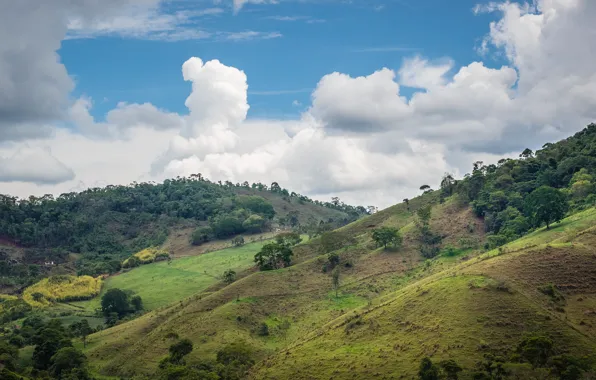 Picture the sky, clouds, house, hills, Brazil, cattle, valley, Minas Gerais