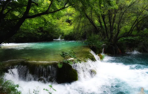 Picture forest, trees, river, stream, Croatia, thresholds, Croatia