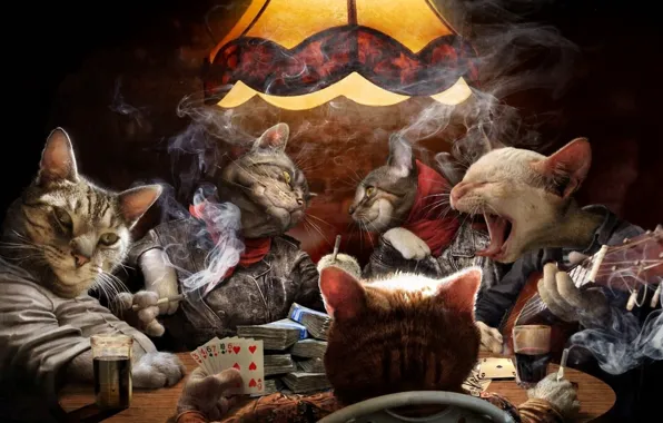 Picture card, cats, smoke, guitar, money, cigarette