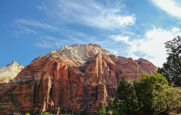 Picture rock, landscape, tree, wilderness