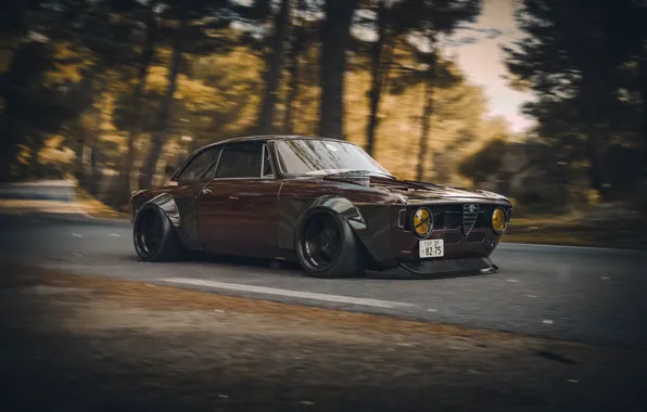 Machine, Style, Alfa Romeo, Car, 1965, Tuning, Rendering, Giulia