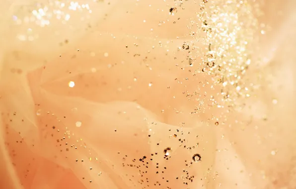 Picture lights, Shine, texture, rhinestones, gold plated, bokeh, organza, Wallpaper from lolita777