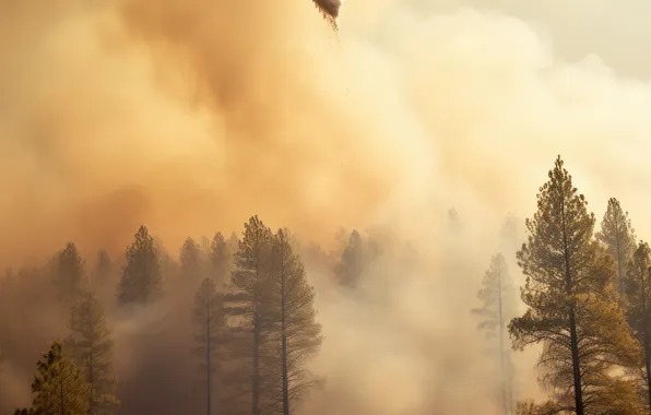 Trees, Smoke, Fire, Forest, Fire, Helicopter, Digital art, Water discharge