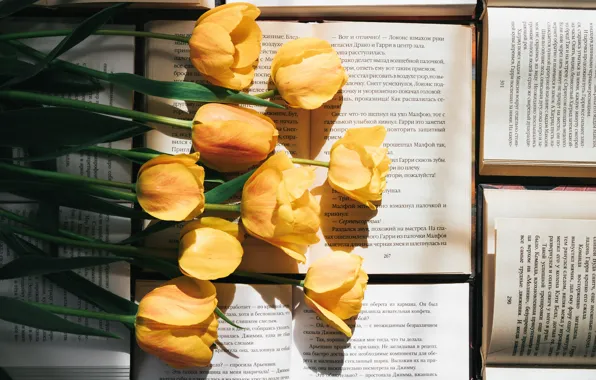 Flowers, text, books, bouquet, yellow, tulips, page, literature