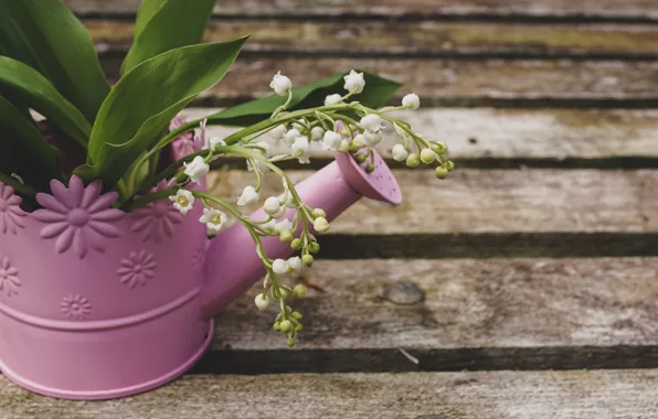Leaves, flowers, Board, spring, lake, lilies of the valley, a bunch, composition