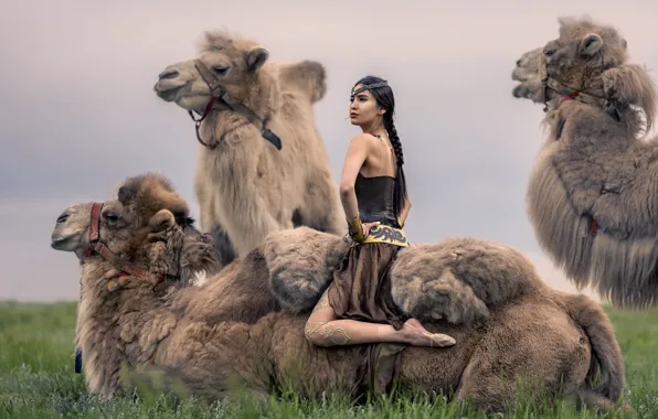 Girl, nature, camels