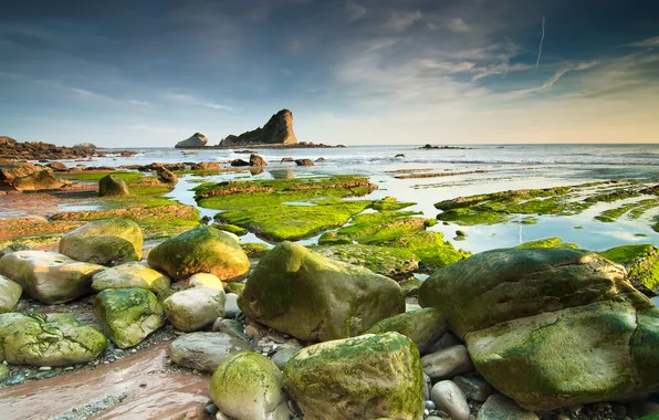 Sea, the sky, algae, stones, rocks, tide