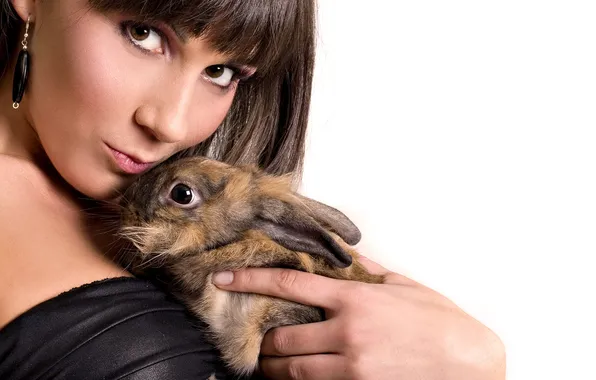 Look, tenderness, Bunny