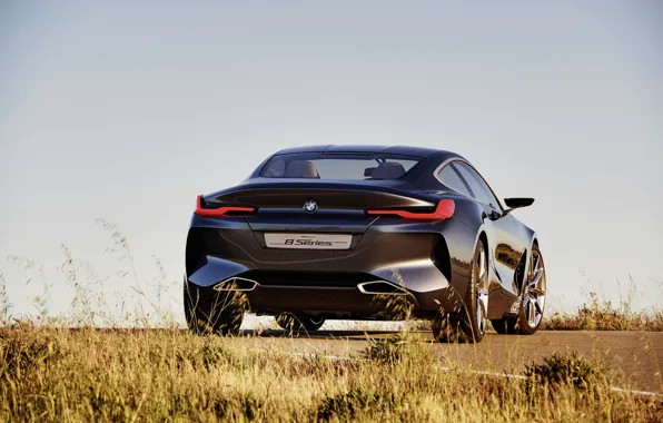 The sky, grass, coupe, BMW, back, 2017, 8-Series Concept